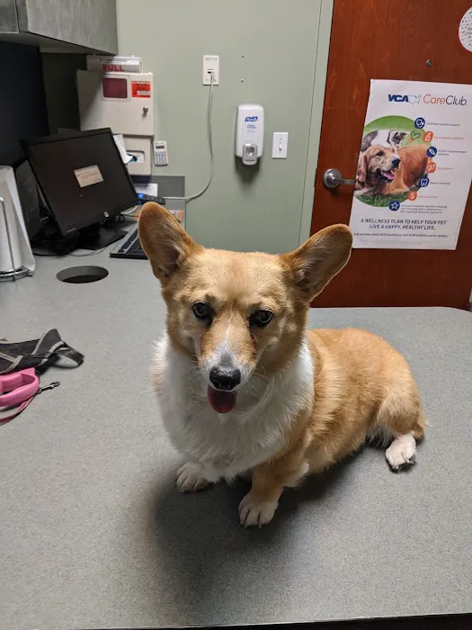 VCA Firehouse Animal Hospital 8