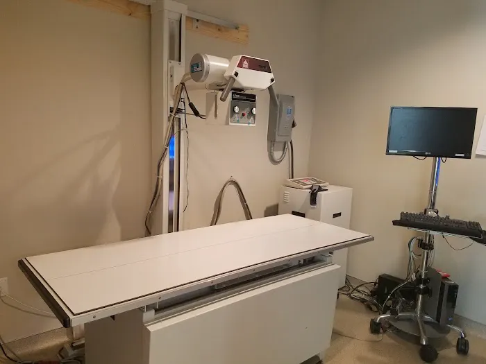 VIDA Veterinary Care - Denver 2