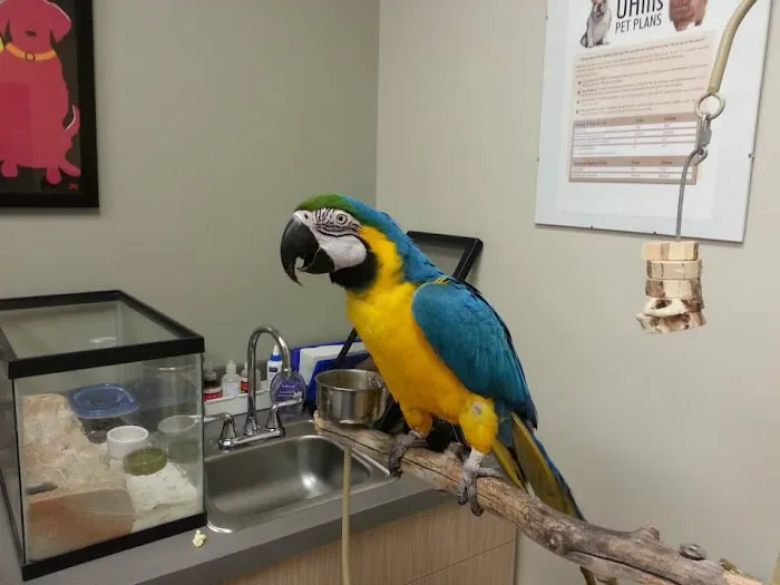 VIDA Veterinary Care - Denver 3