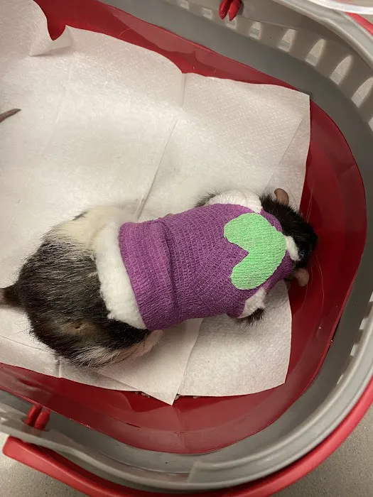 VIDA Veterinary Care - Denver 6