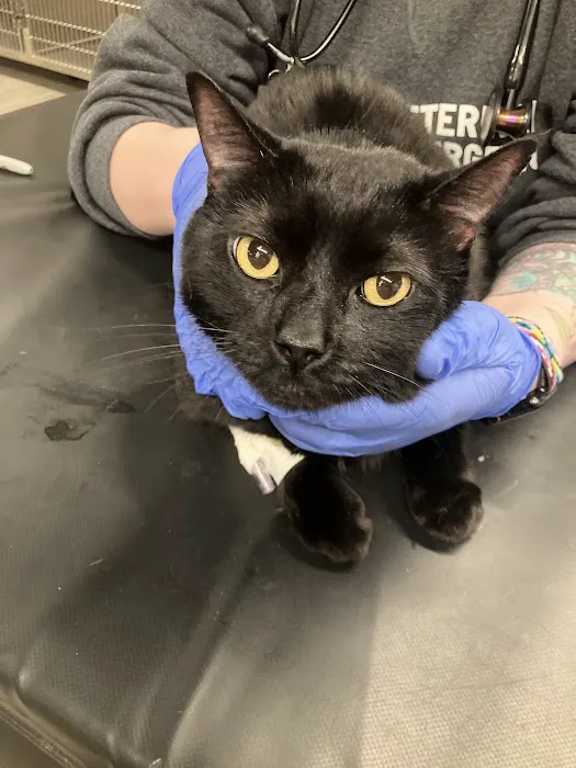 Veterinary Emergency Group 12