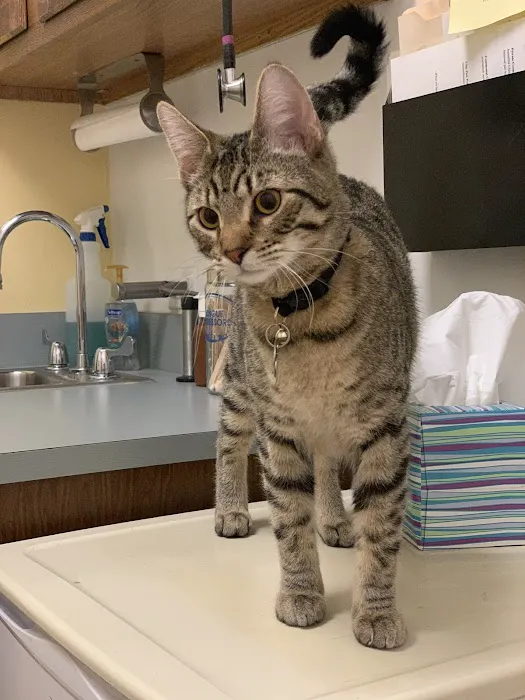 Washington Park Veterinary Clinic 1