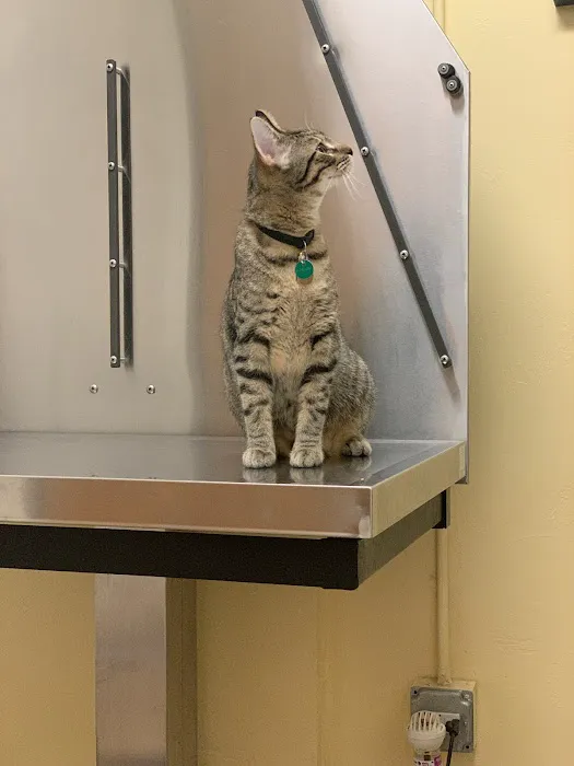 Washington Park Veterinary Clinic 2