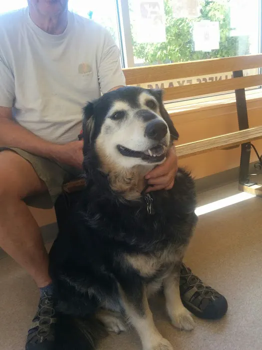 Washington Park Veterinary Clinic 6