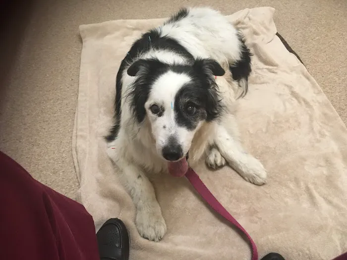 Washington Park Veterinary Clinic 9