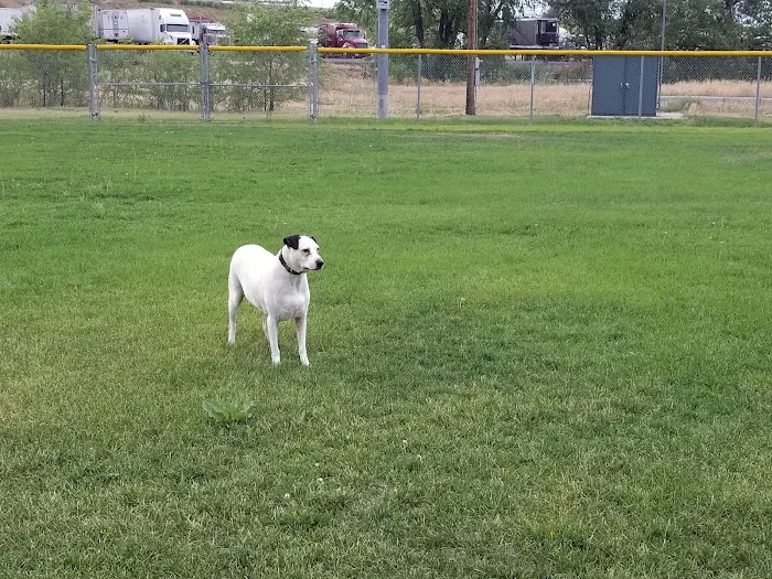 Arvada Veterinary Hospital 12
