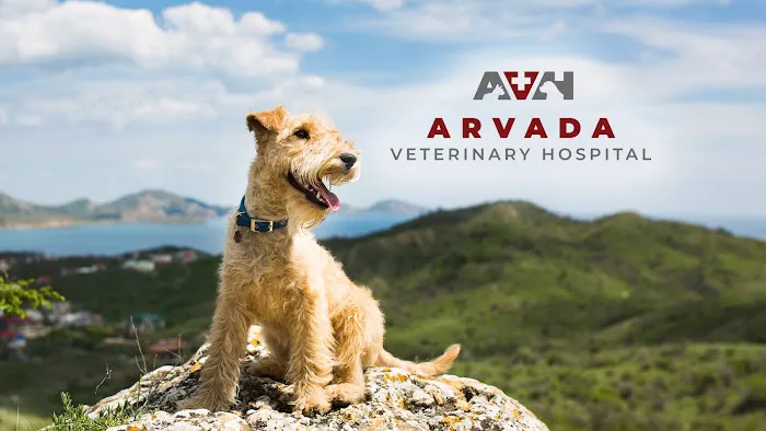 Arvada Veterinary Hospital 12
