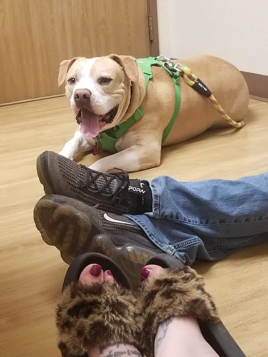 Arrowhead Animal Hospital 2