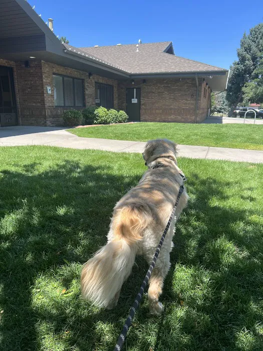 Arrowhead Animal Hospital 5