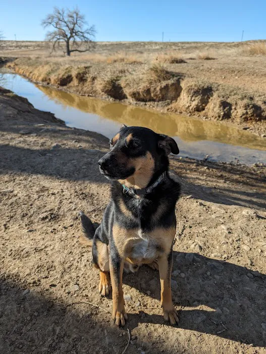 Arrowhead Animal Hospital 9