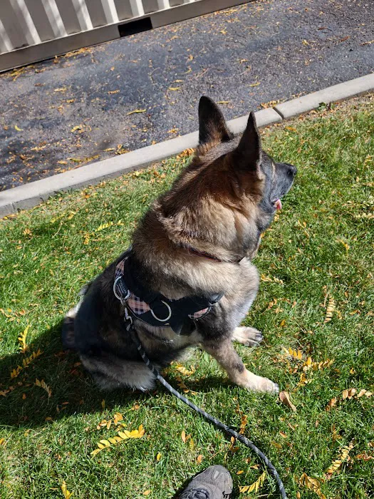 Arrowhead Animal Hospital 10