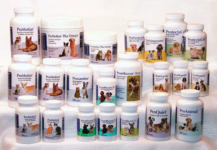 Animal Health Options 12