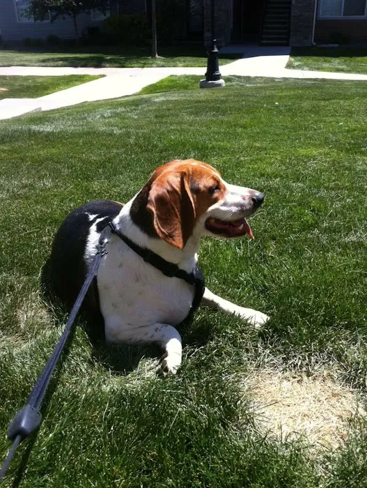 Banfield Pet Hospital 1