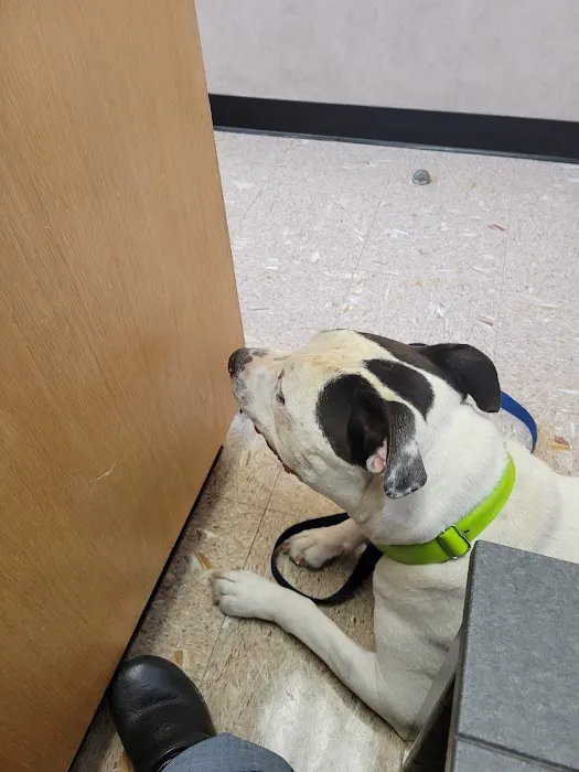 Banfield Pet Hospital 4
