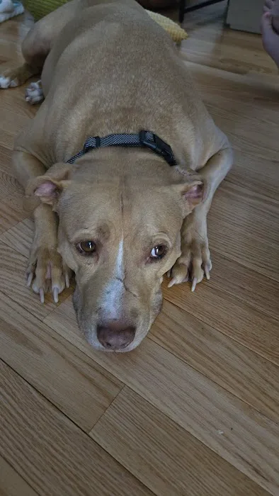 Banfield Pet Hospital 3