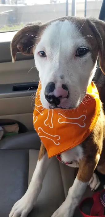 Banfield Pet Hospital 7