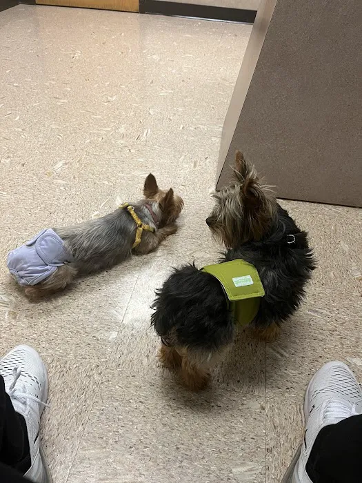 Banfield Pet Hospital 6