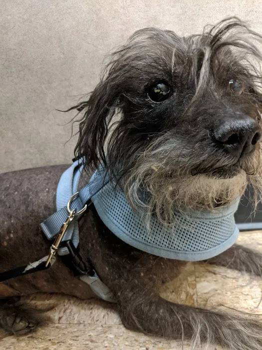 Banfield Pet Hospital 8
