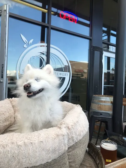 Community Pet Hospital, Washington 12