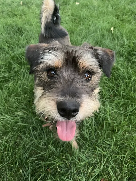 Community Pet Hospital, Washington 12