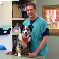 Belleview West Animal Hospital ico