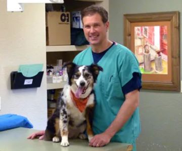 Belleview West Animal Hospital