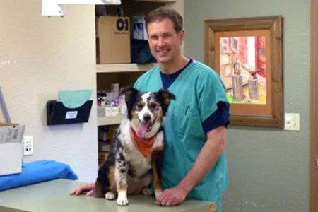 Belleview West Animal Hospital