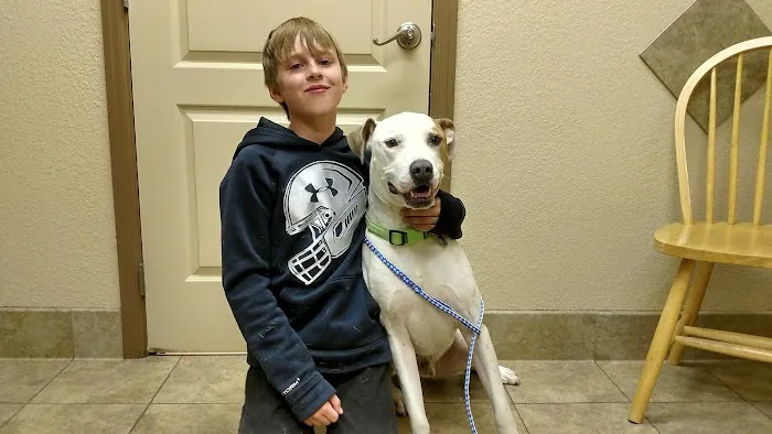 Belleview West Animal Hospital 5