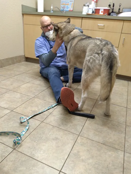 Belleview West Animal Hospital 8