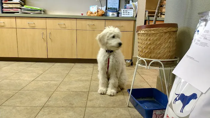 Belleview West Animal Hospital 7