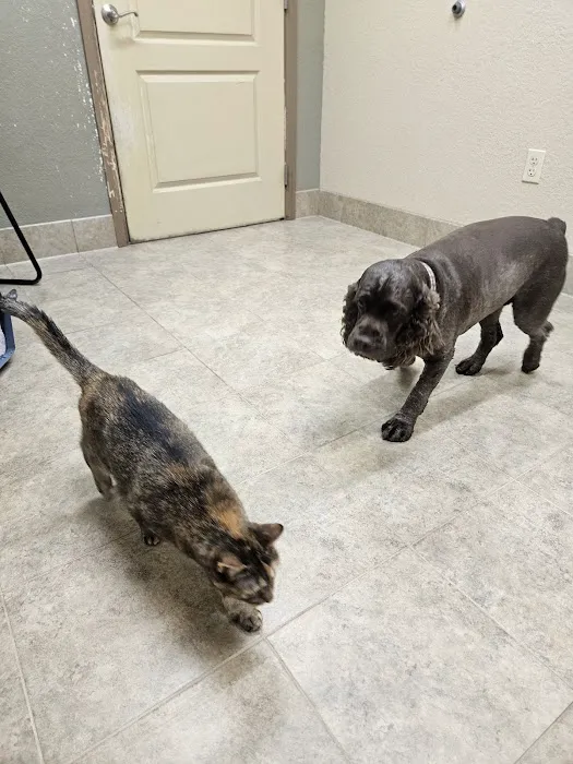 Belleview West Animal Hospital 9
