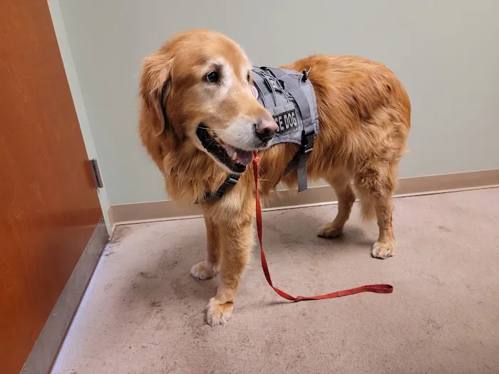 VCA Littleton Animal Hospital 12