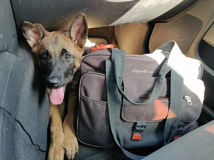 VCA Littleton Animal Hospital 12