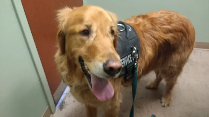 VCA Littleton Animal Hospital 12