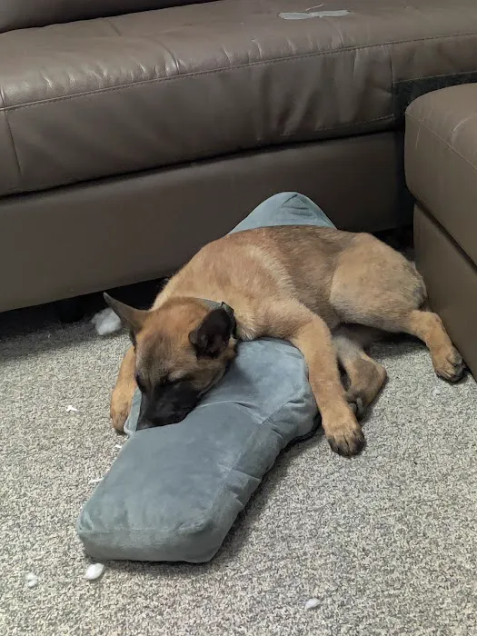 VCA Littleton Animal Hospital 12