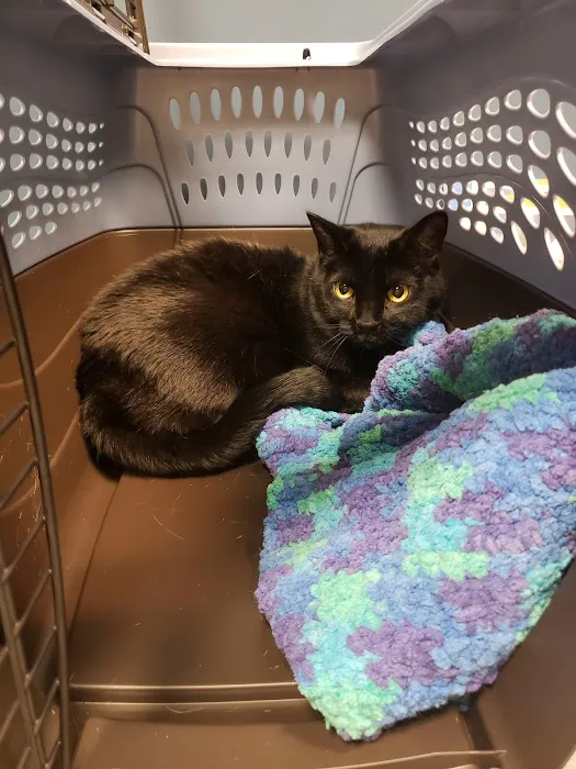 VCA Dakota Ridge Animal Hospital 2