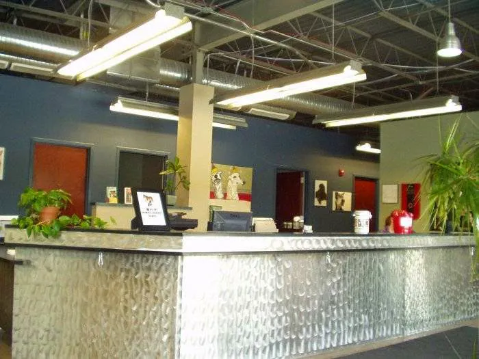 VCA Dakota Ridge Animal Hospital 5