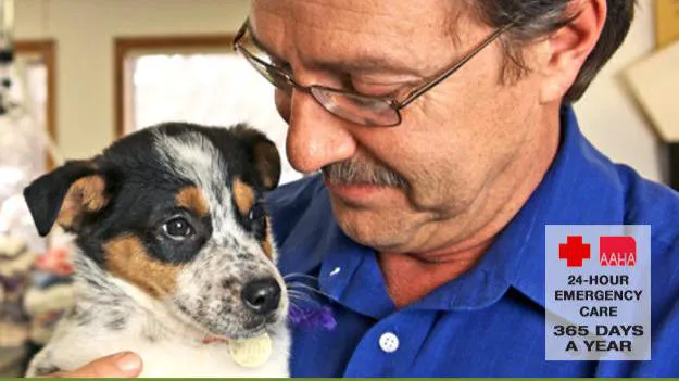 VCA Deer Creek Animal Hospital 12