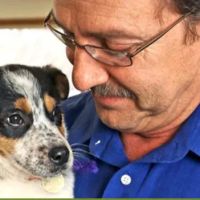 VCA Deer Creek Animal Hospital ico