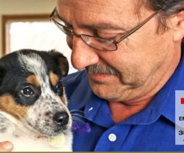 VCA Deer Creek Animal Hospital