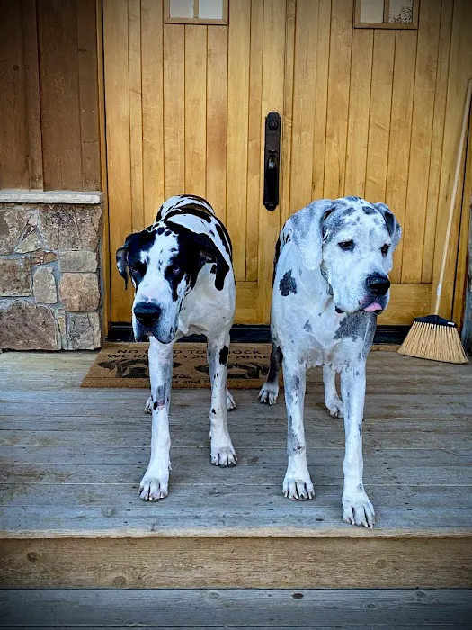 VCA Deer Creek Animal Hospital 12