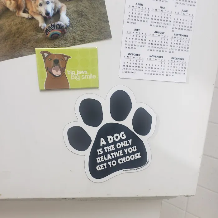 Brentwood Animal Hospital 6