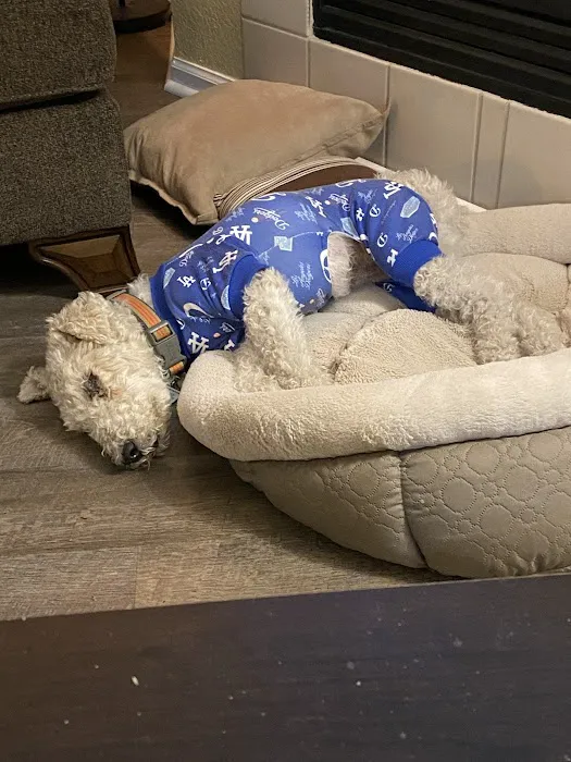 Brentwood Animal Hospital 3