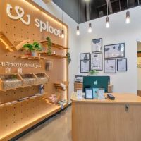 Sploot Veterinary Care - Highlands Ranch ico