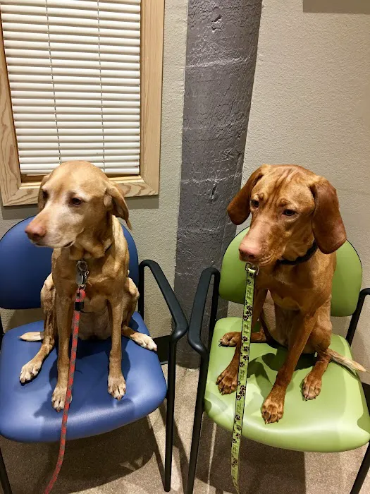 Overland Animal Hospital 3