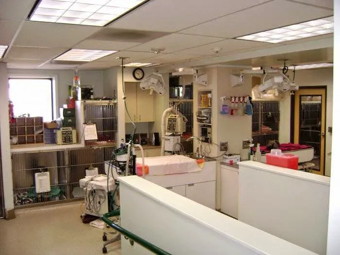 VCA Aspenwood Animal Hospital 12