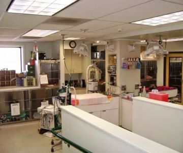 VCA Aspenwood Animal Hospital