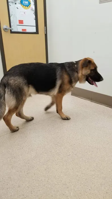 VCA Aspenwood Animal Hospital 12