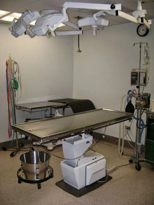 VCA Aspenwood Animal Hospital 12
