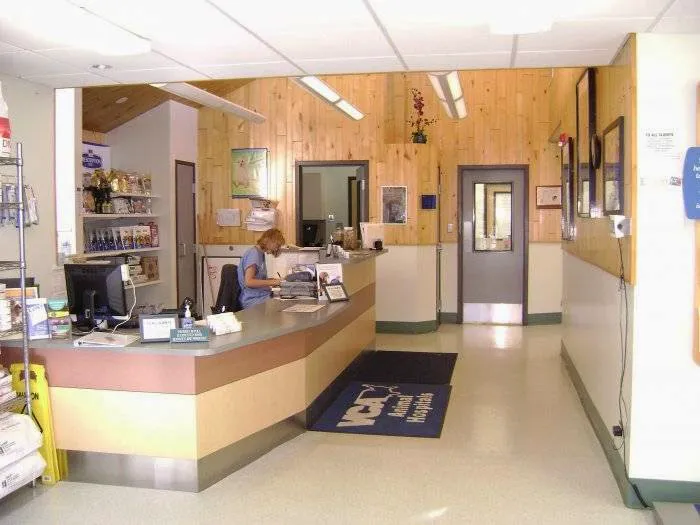 VCA Aspenwood Animal Hospital 12